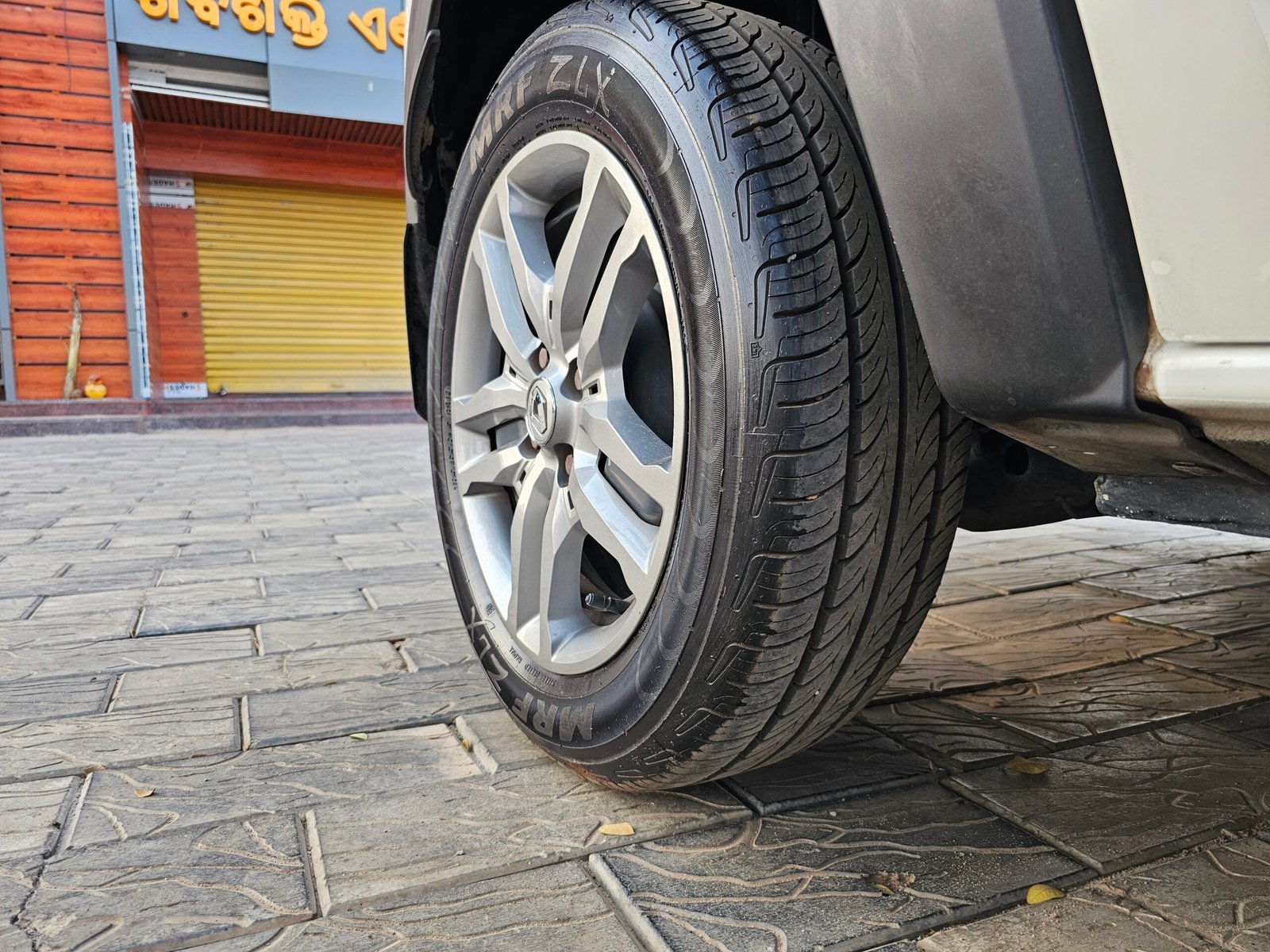 
								OD02BS6117 – TRIBER RXZ full									